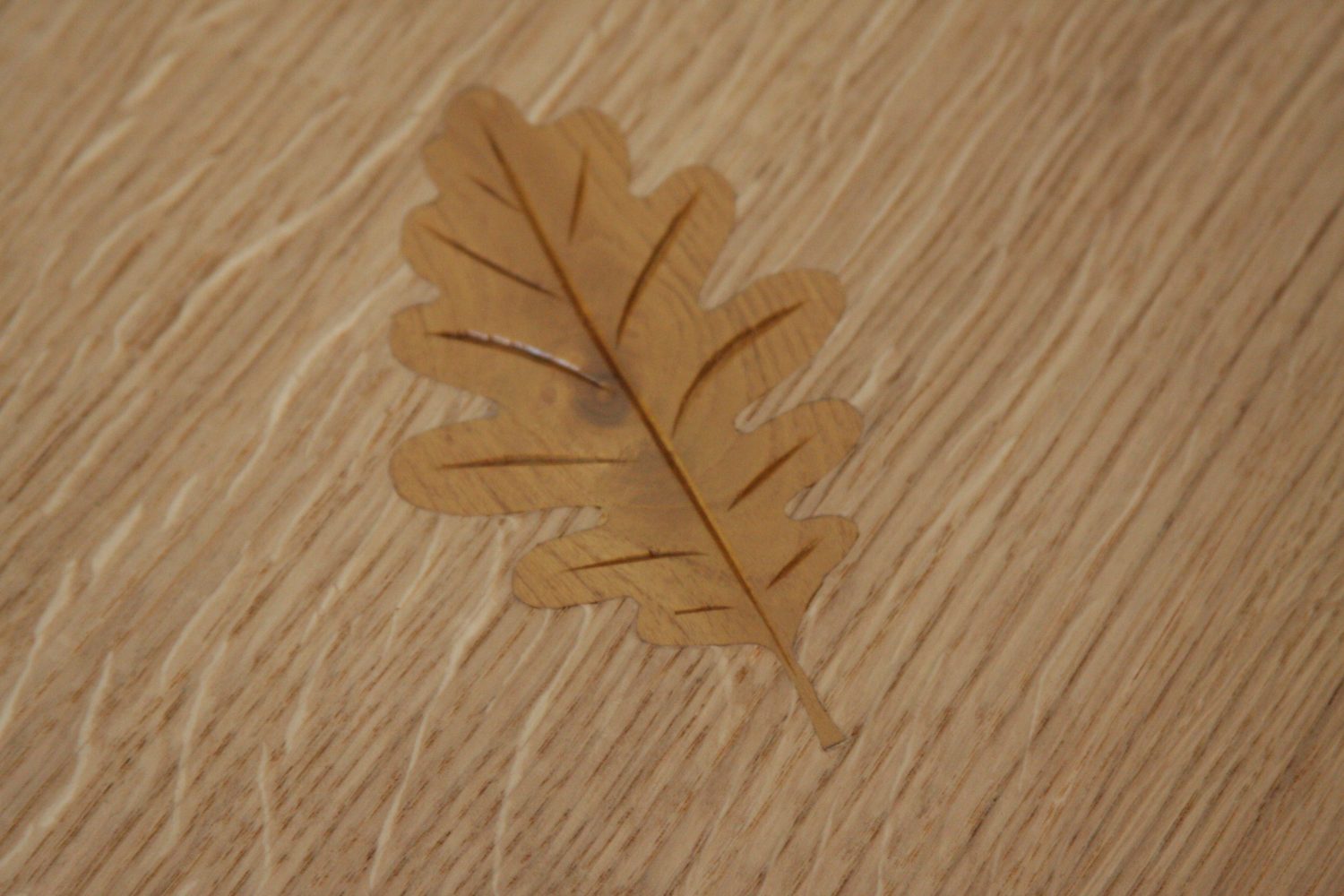 Other type of leaf detail