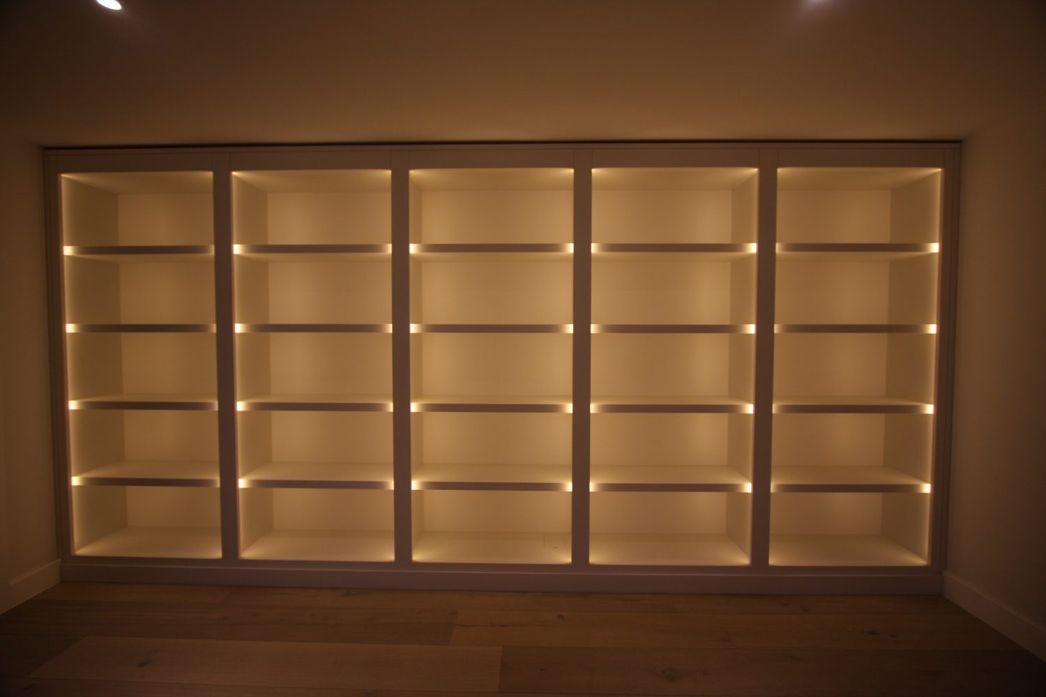 Book shelves with LED lights
